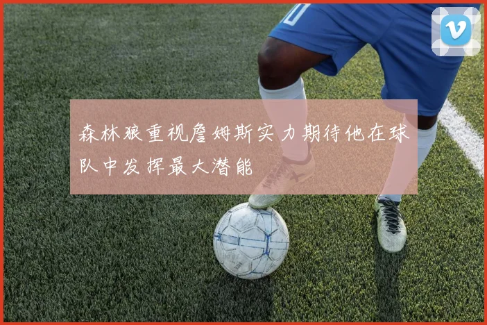 森林狼重视詹姆斯实力期待他在球队中发挥最大潜能